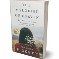 3D view of Premade Romance Book Cover - Armadillo