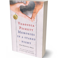 3D view of Premade Romance Book Cover - Bizarre