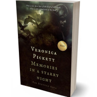 3D view of Premade Fantasy Book Cover - Night Rider