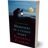 3D view of Premade Mystery & Thriller & Suspense Book Cover - Cinder