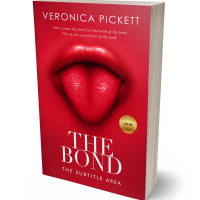 Tablet view of Shiraz #1181 - Premade Abstract Book Cover