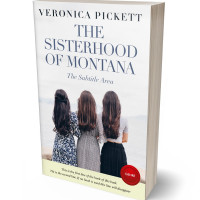 3D view of Premade Chick Lit Book Cover - Ebony Clay