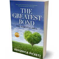 3D view of Premade Romance Book Cover - Chambray