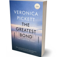 Tablet view of Wild Blue Yonder #1214 - Premade Literary Fiction Book Cover