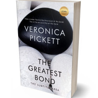 Tablet view of Mischka #1217 - Premade Self-Improvement & Self-Help Book Cover