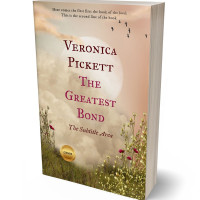 Tablet view of Pavlova #1219 - Premade Fantasy Book Cover