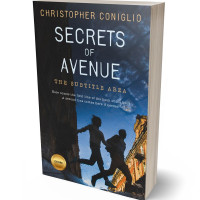 3D view of Premade Romance Book Cover - Ebony Clay