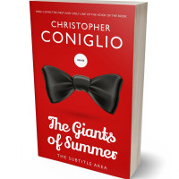 3D view of Premade Literary Fiction Book Cover - Thunderbird