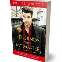 3D view of Premade Chick Lit Book Cover - Japonica