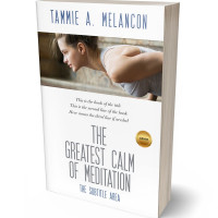 3D view of Premade Health & Dieting & Fitness Book Cover - Nomad