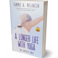 Tablet view of Mischka #1480 - Premade Chick Lit Book Cover