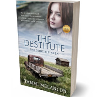 Tablet view of Silver Sand #1501 - Premade Literary Fiction Book Cover