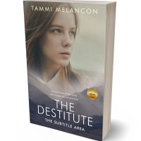 Tablet view of Schooner #1502 - Premade Fantasy Book Cover