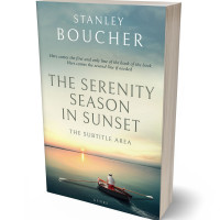 Tablet view of Foggy Gray #1578 - Premade Literary Fiction Book Cover