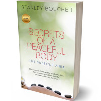 3D view of Premade Health & Mind & Body Book Cover - Periglacial Blue