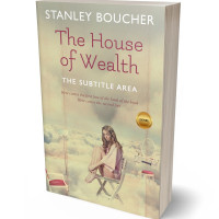 3D view of Premade Abstract Book Cover - Chino