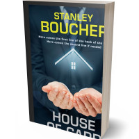 3D view of Straw #1608 - Premade Business Book Cover