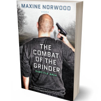 3D view of Premade Literary Fiction Book Cover - Ship Gray