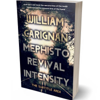 3D view of Premade Mystery & Thriller & Suspense Book Cover - Double Spanish White