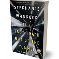 3D view of Premade Mystery & Thriller & Suspense Book Cover - Bison Hide