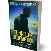 3D view of Firefly #2408 - Premade Literary Fiction Book Cover