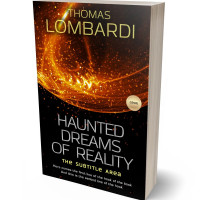 3D view of Premade Abstract Book Cover - Creole