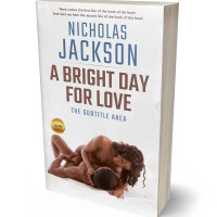 3D view of Premade Erotica Book Cover - Gallery