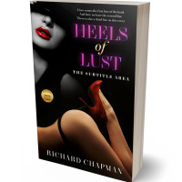 3D view of Premade Erotica Book Cover - Muddy Waters