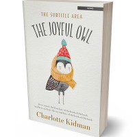 3D view of Premade Teen & Young Adult Book Cover - Cararra