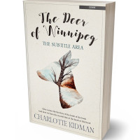 3D view of Premade Abstract Book Cover - Satin Linen