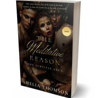 Tablet view of Night Rider #2935 - Premade Erotica Book Cover