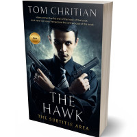 3D view of Foggy Gray #3003 - Premade Mystery & Thriller & Suspense Book Cover