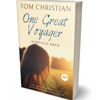 3D view of Premade Romance Book Cover - Champagne