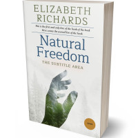 3D view of Cararra #3123 - Premade Religion & Spirituality Book Cover