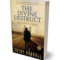 3D view of Premade Mystery & Thriller & Suspense Book Cover - Night Rider