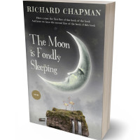 3D view of Premade Fantasy Book Cover - Masala