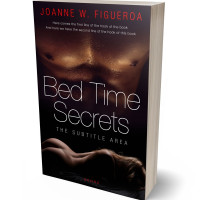 Tablet view of Night Rider #3362 - Premade Erotica Book Cover