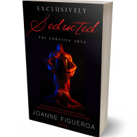 3D view of Premade Erotica Book Cover - Cinder