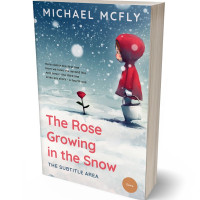 Tablet view of San Juan #3427 - Premade Teen & Young Adult Book Cover