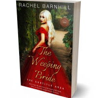 3D view of Premade Fantasy Book Cover - Sambuca