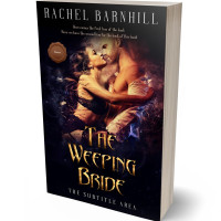 3D view of Premade Erotica Book Cover - Antique Brass