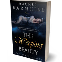 3D view of Premade Romance Book Cover - Ebony