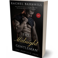 3D view of Premade Erotica Book Cover - Cod Gray