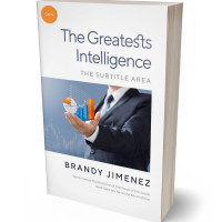 3D view of Premade Business Book Cover - Ebony Clay