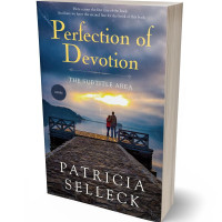 3D view of Premade Romance Book Cover - Blue Bayoux