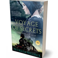 3D view of Premade Romance Book Cover - Ebony Clay