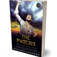 3D view of Premade Business Book Cover - Rodeo Dust