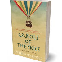 3D view of Premade Children's Book Cover - Straw