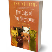 3D view of Premade Abstract Book Cover - Tuscany