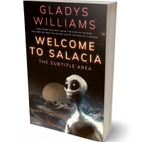 3D view of Premade Science Fiction Book Cover - Eternity